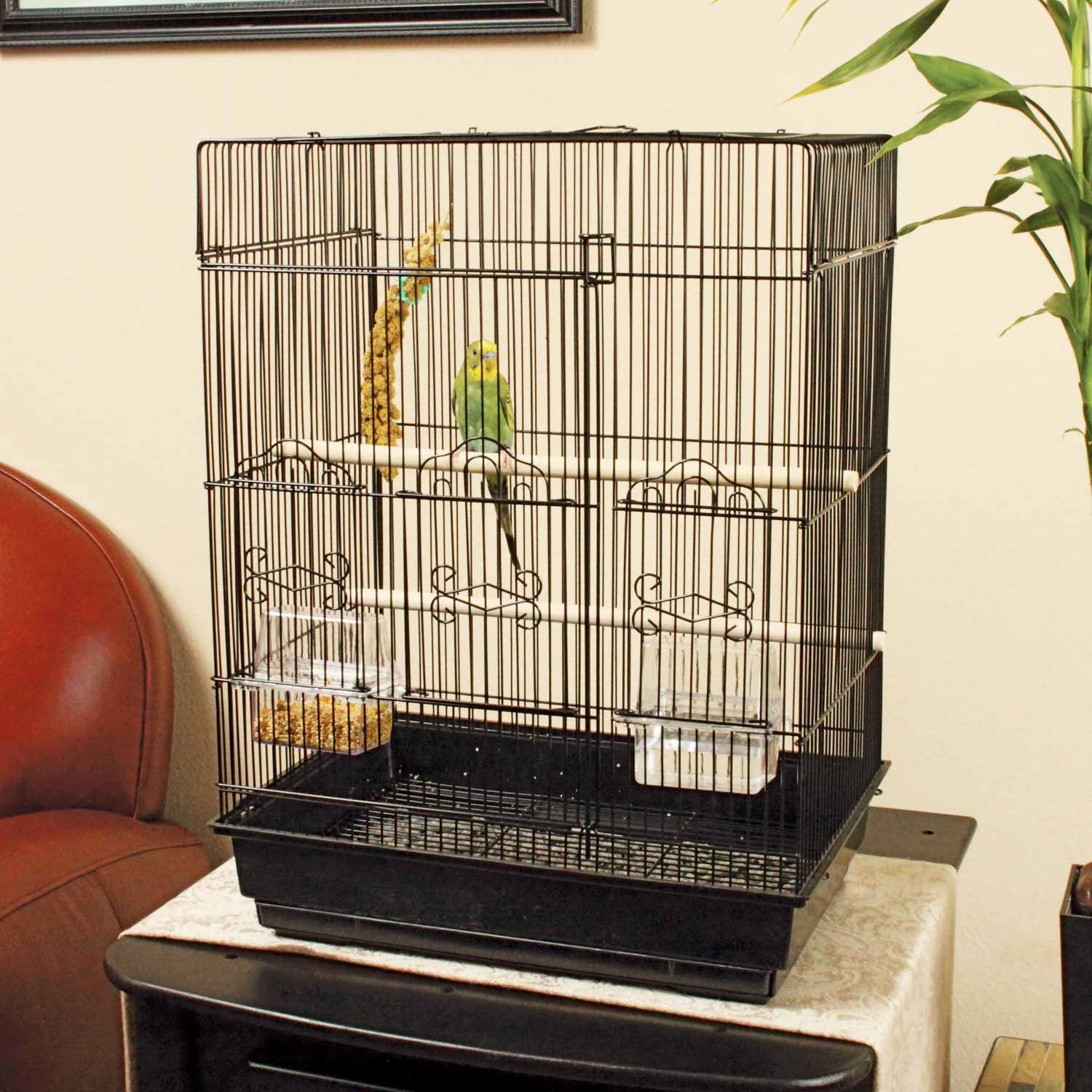 petco large bird cage