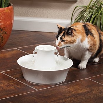 petsafe drinkwell ceramic avalon pet fountain
