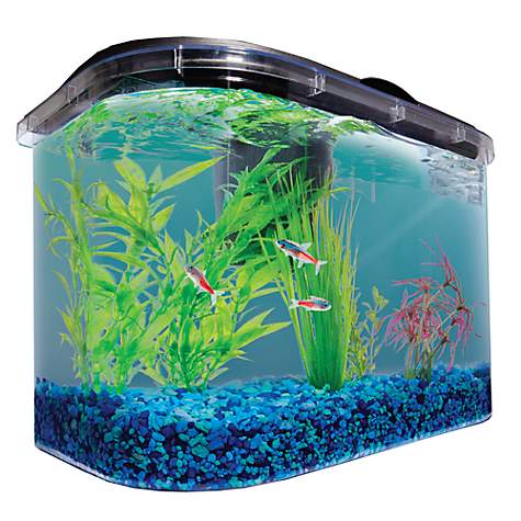 Imagitarium 5 2 Gallon Freshwater Aquarium