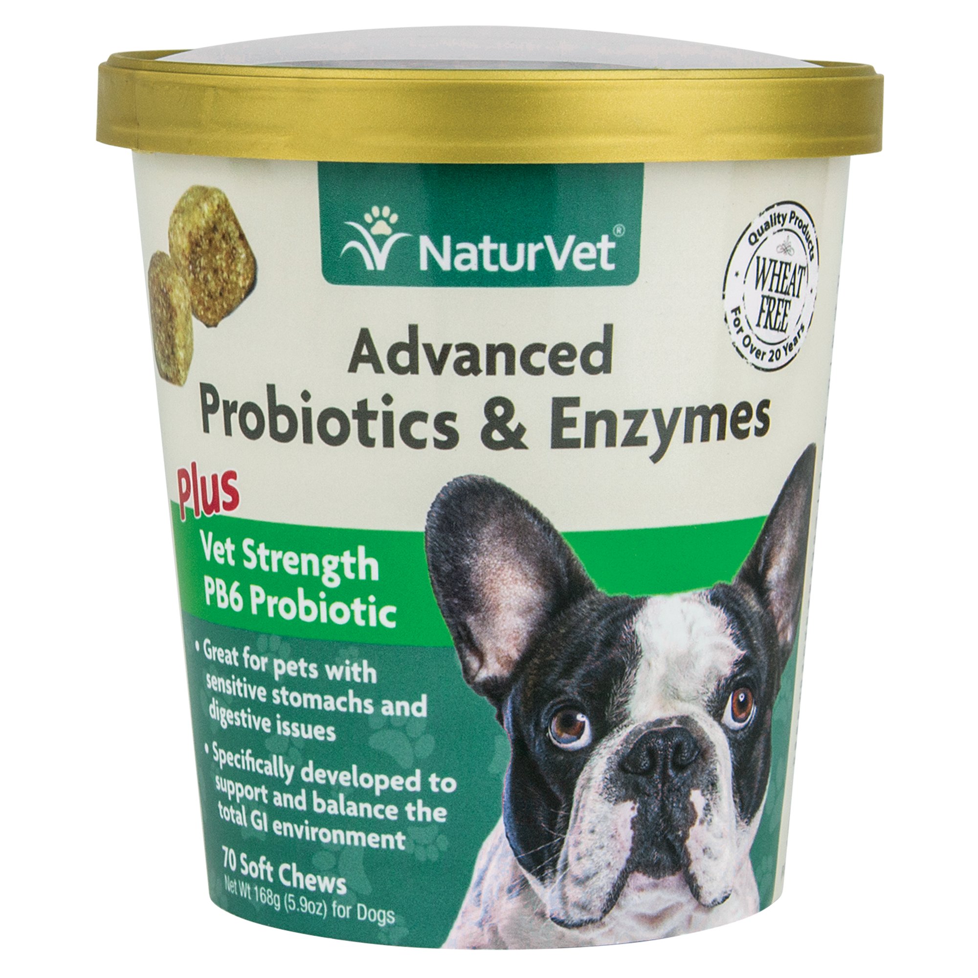 NaturVet Advanced Probiotics & Enzymes Petco