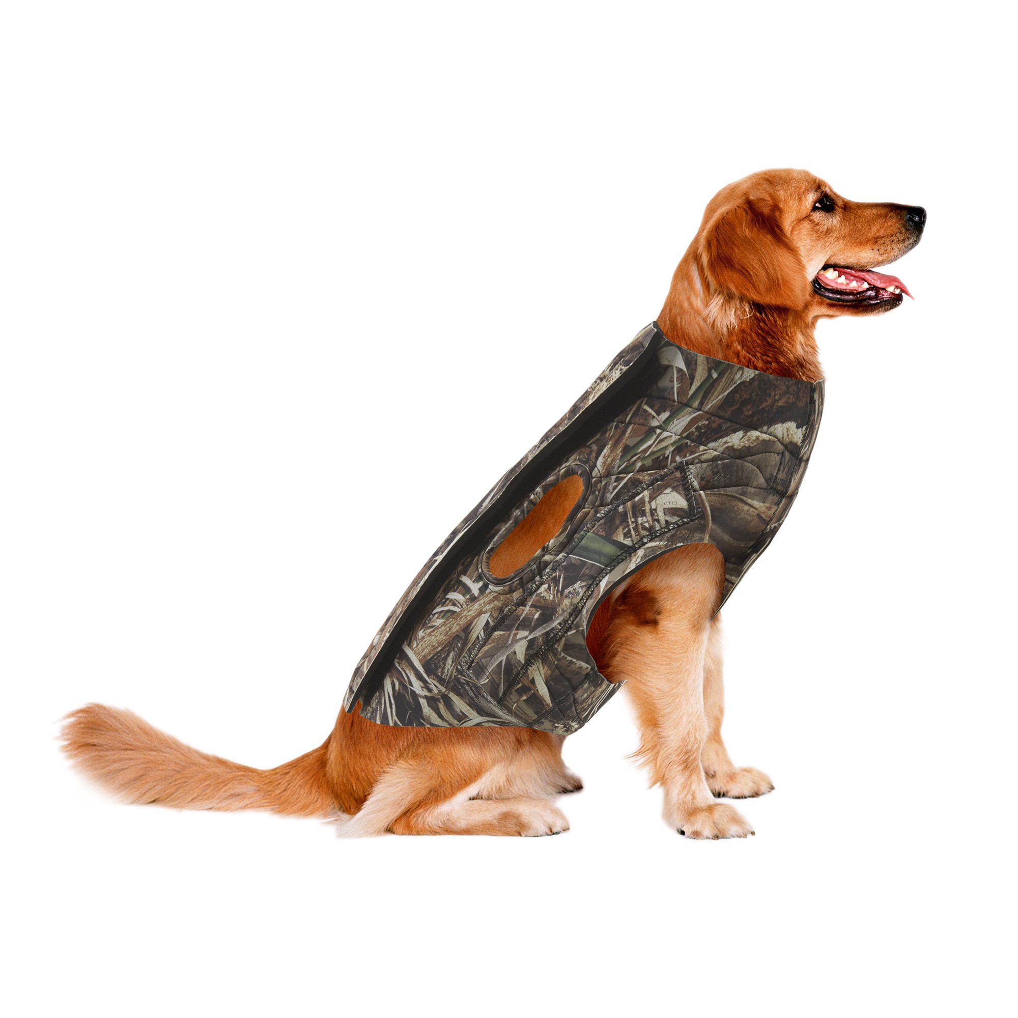 neoprene dog jacket