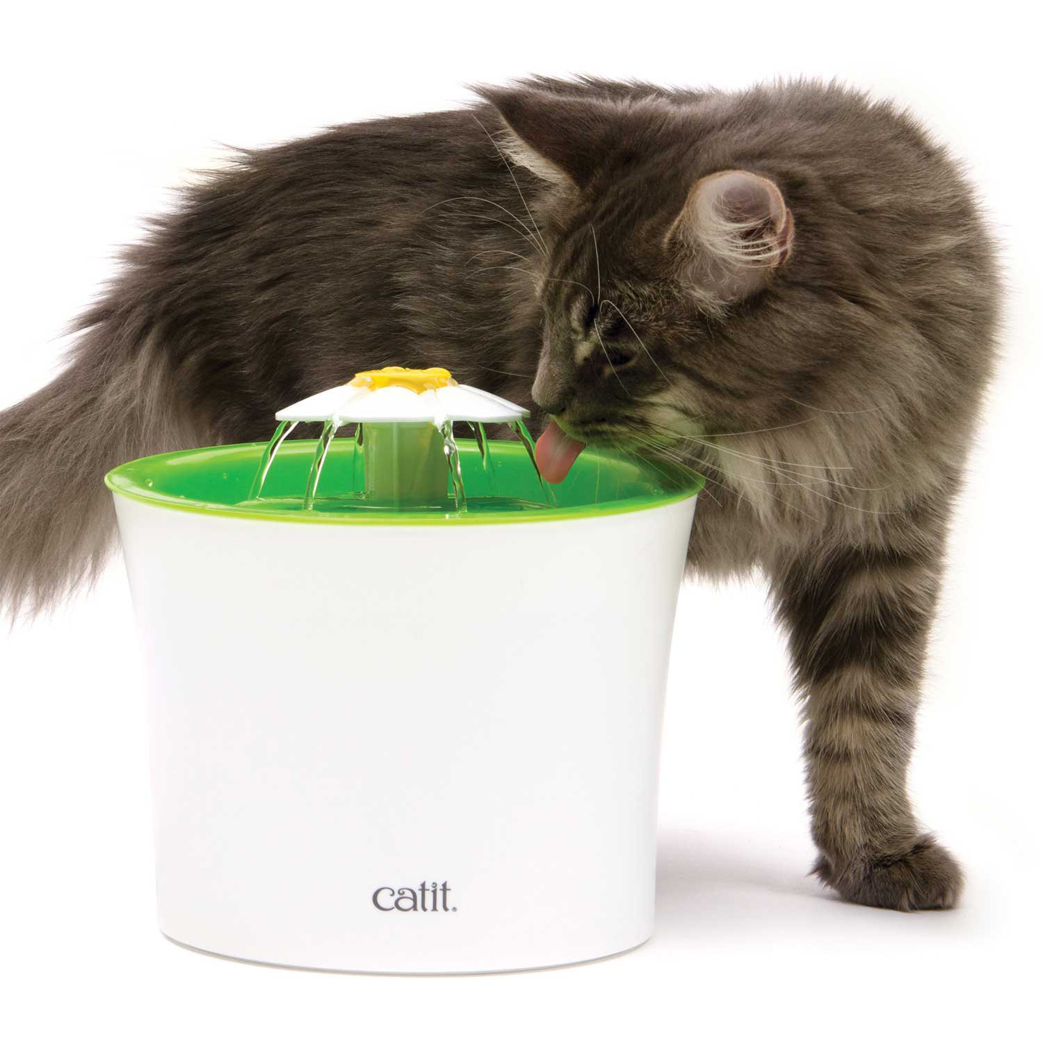 Catit Flower Cat Water Fountain Petco