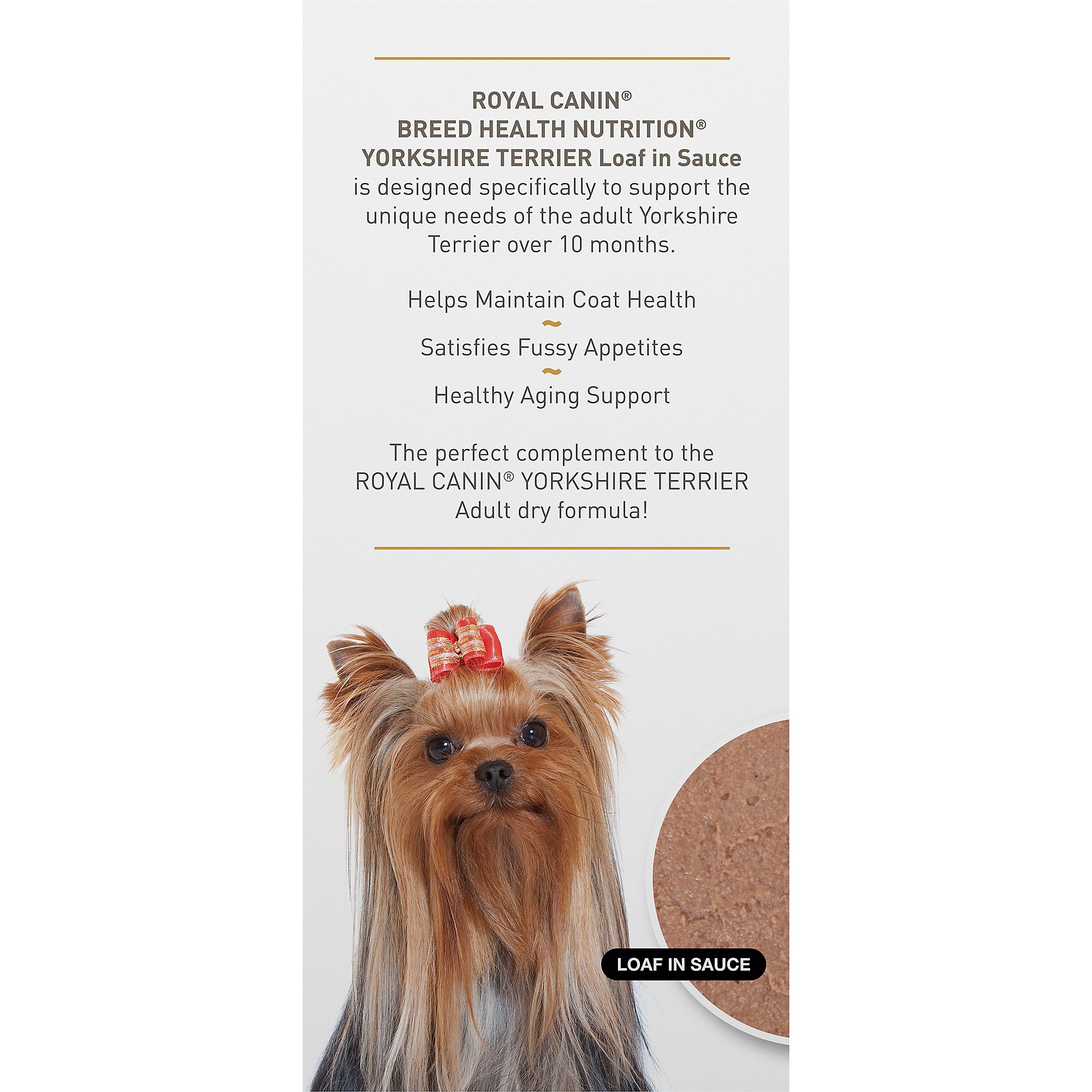 petco royal canin yorkshire terrier