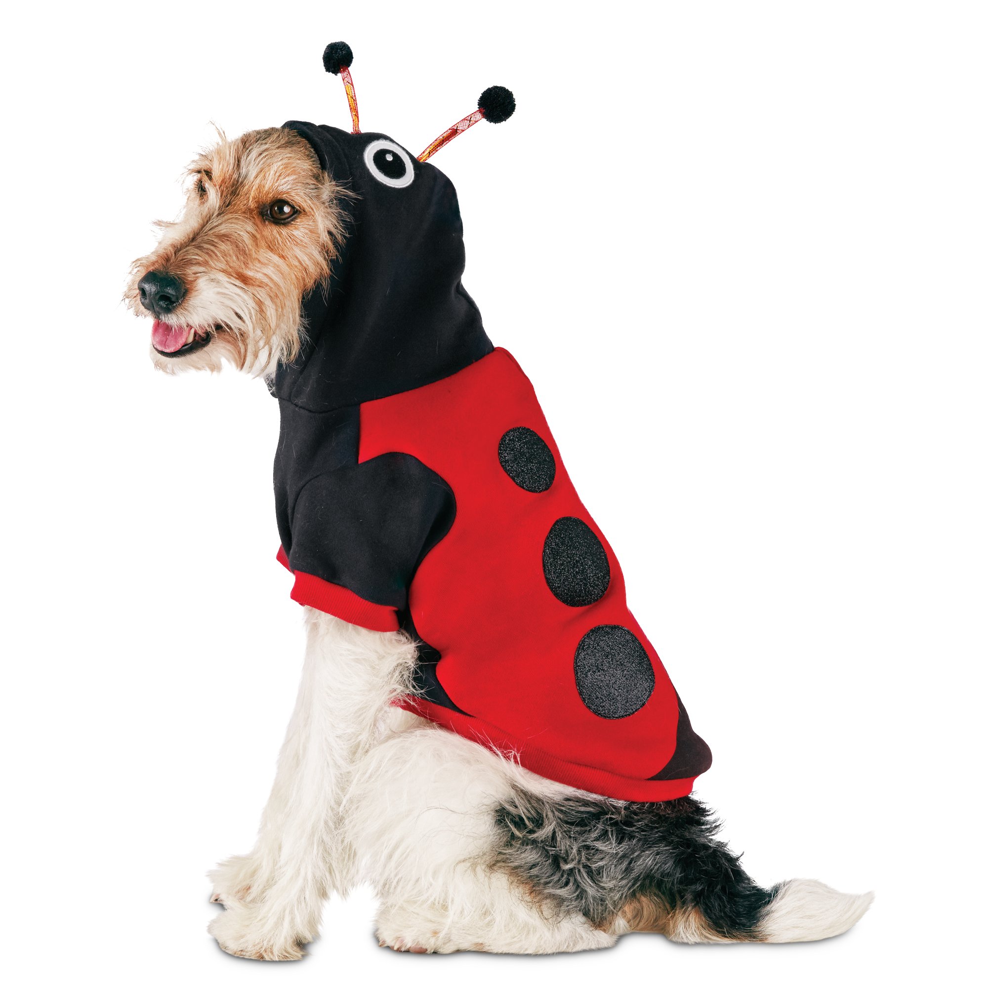 Halloween Dog Costumes - Pawsome Doggie