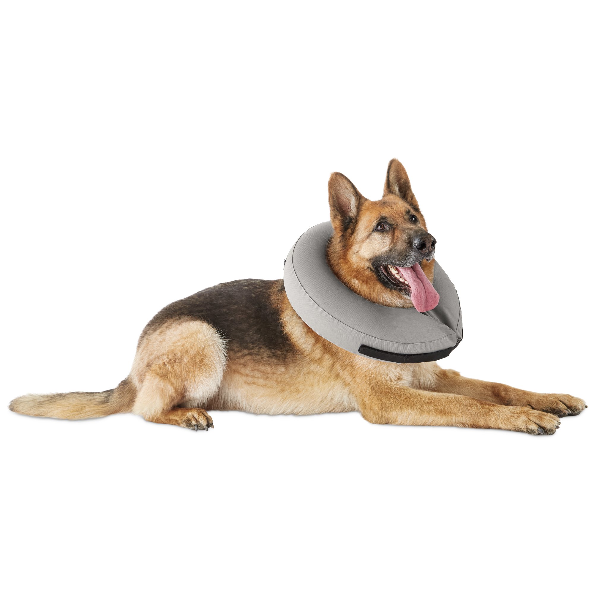 inflatable dog collar target