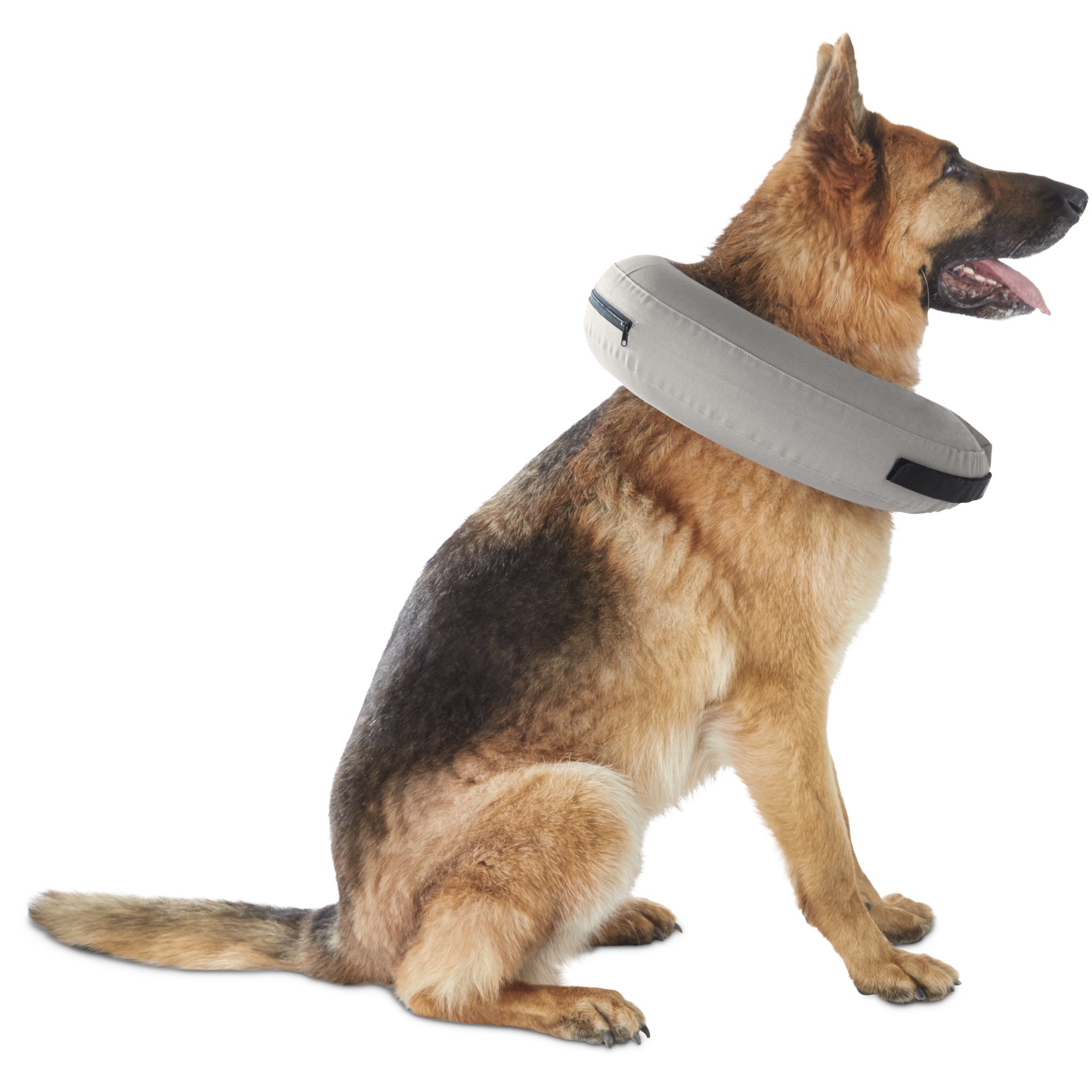 Well Good Inflatable Collar For Dogs And Cats Large X Large