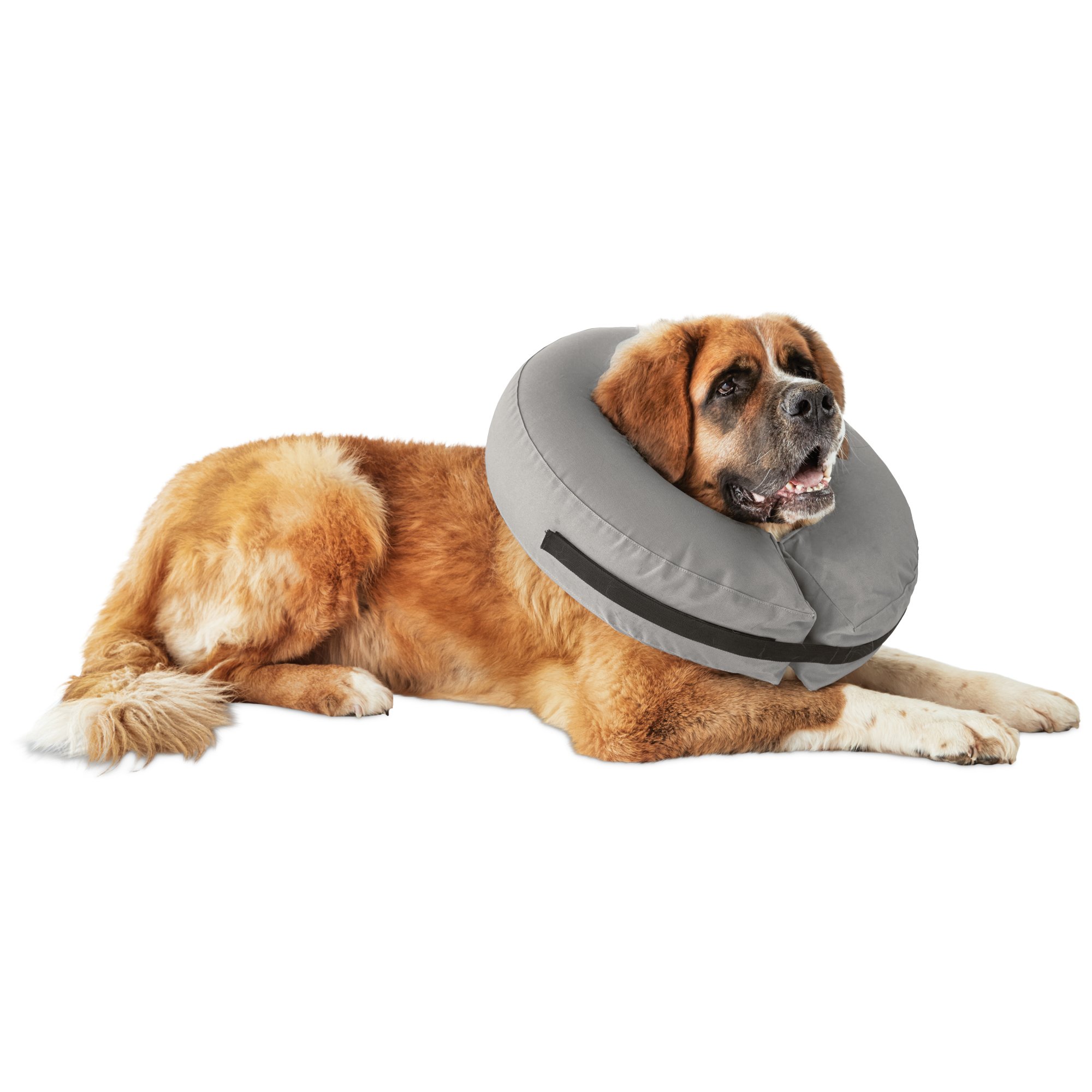 Well Good Inflatable Collar For Dogs And Cats Xx L Xxx L Petco