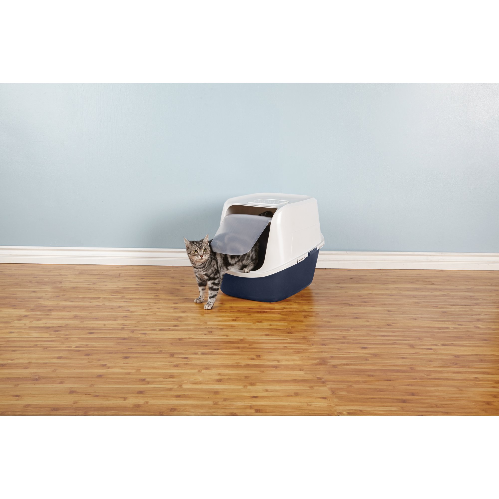 moderna smart cat litter box