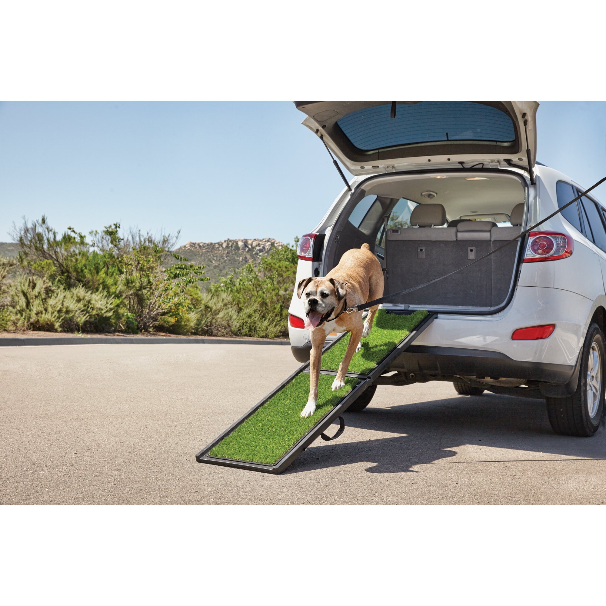 Good2Go Portable Pet Ramp | Petco