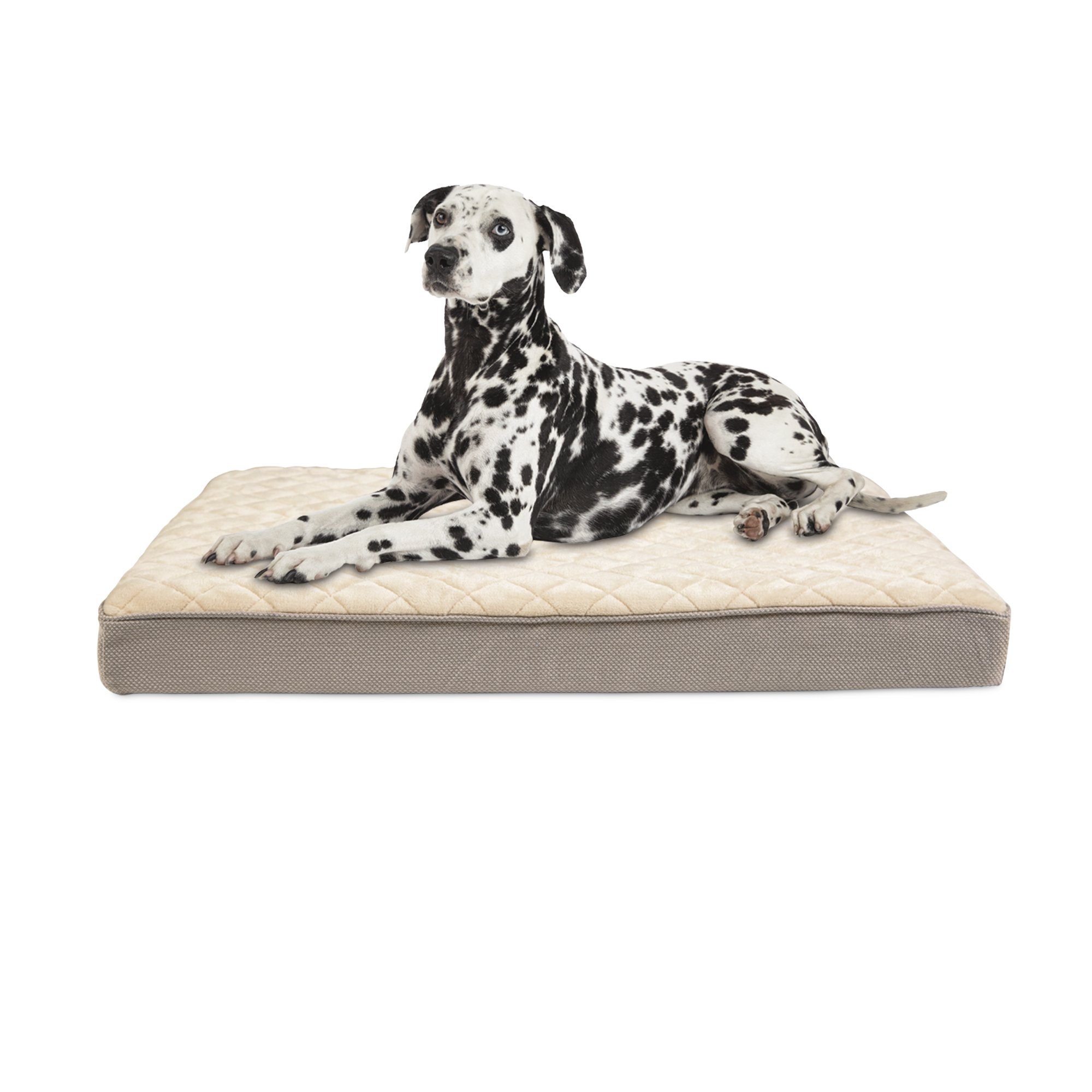 Doctors Foster + Smith Khaki Orthopedic Dog Bed | Petco