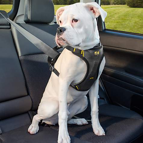 Pet Seat Belt >> Kurgo Impact Seatbelt Automotive Harness Petco Pet Seat Belt >> Kurgo Impact Seatbelt Automotive Harness Petco