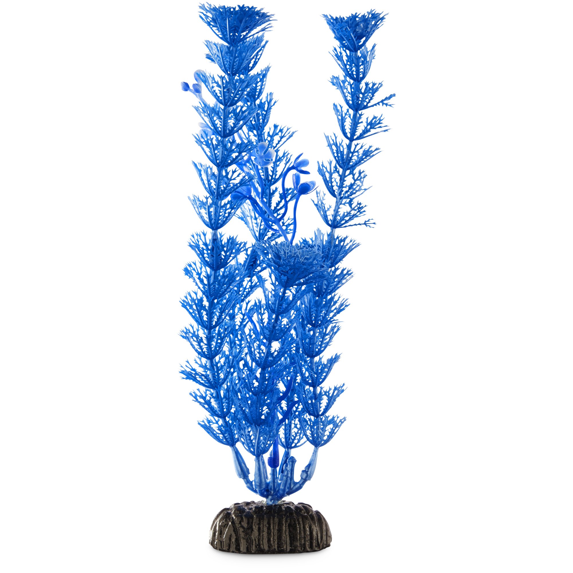 Imagitarium Blue Ambulia Midground Aquarium Plant Petco