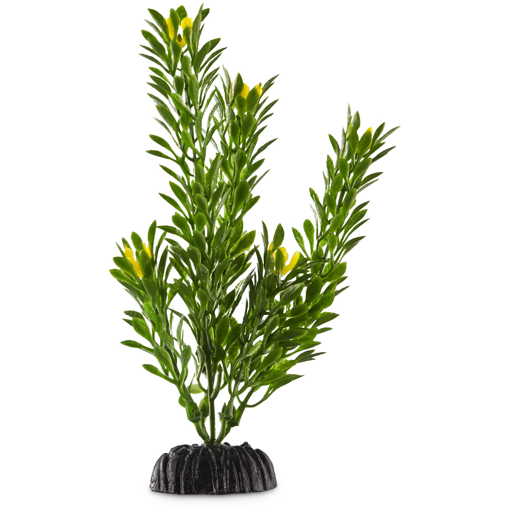 Imagitarium Green Foreground Aquarium Plant Petco