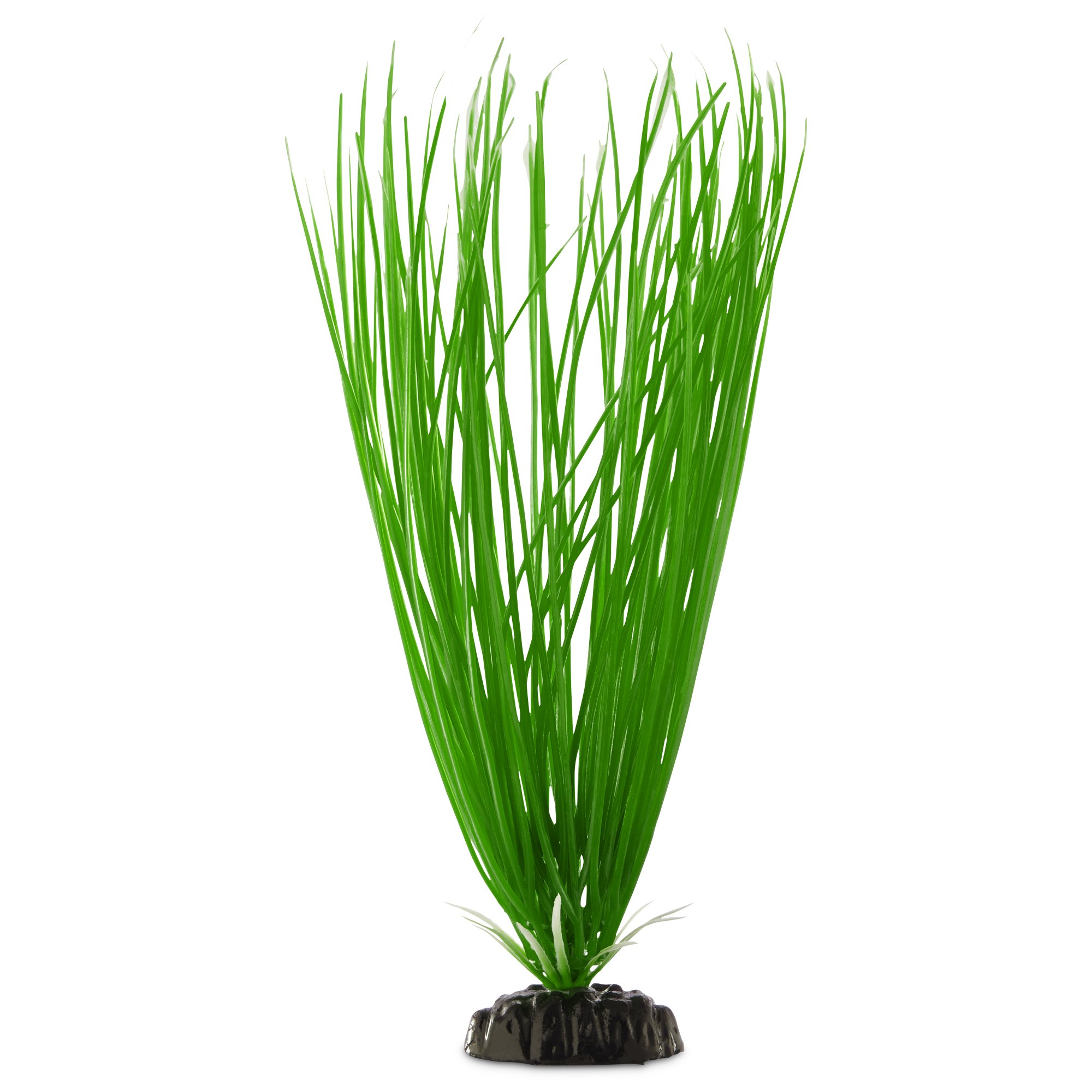 Download 460 Koleksi Background Grass Aquarium Gratis