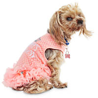 Dog Clothes: Puppy & Dog Outfits & Apparel | Petco