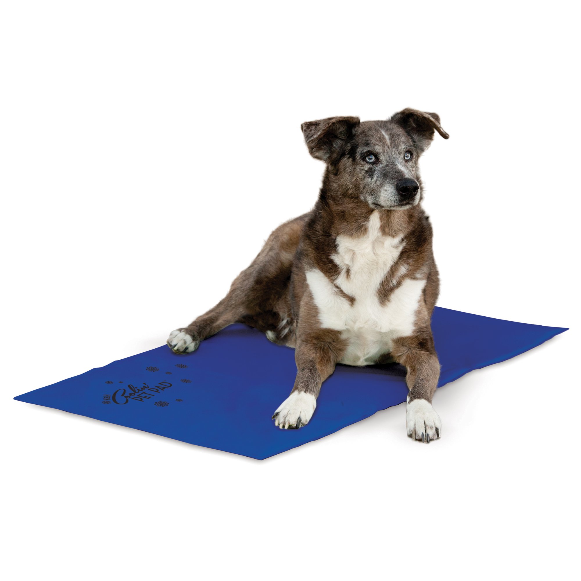 K H Cooling Pad For Dogs 27 L X 38 W Petco