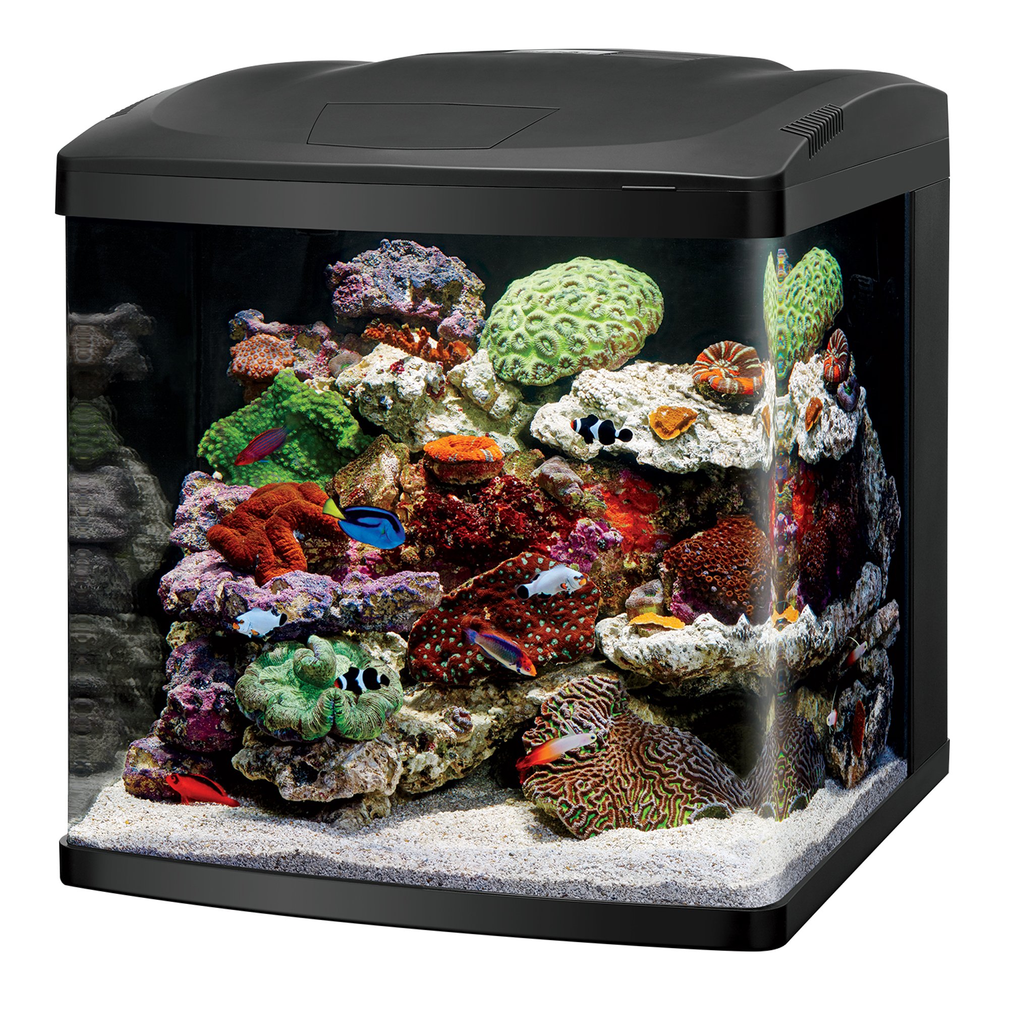 petco acrylic aquarium