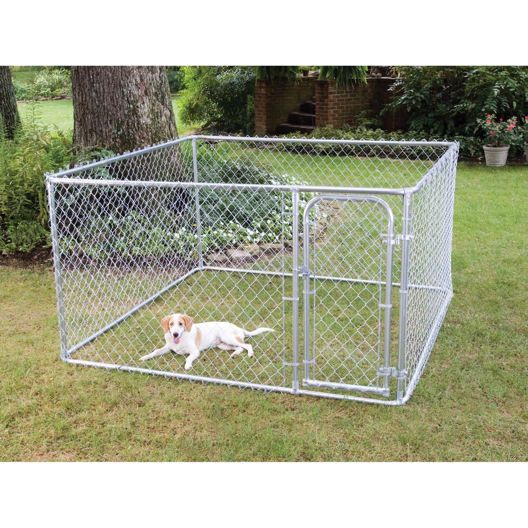 dog kennels for sale bunnings