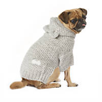 Dog Sweaters: Puppy, Small & Large Dog Sweaters | Petco