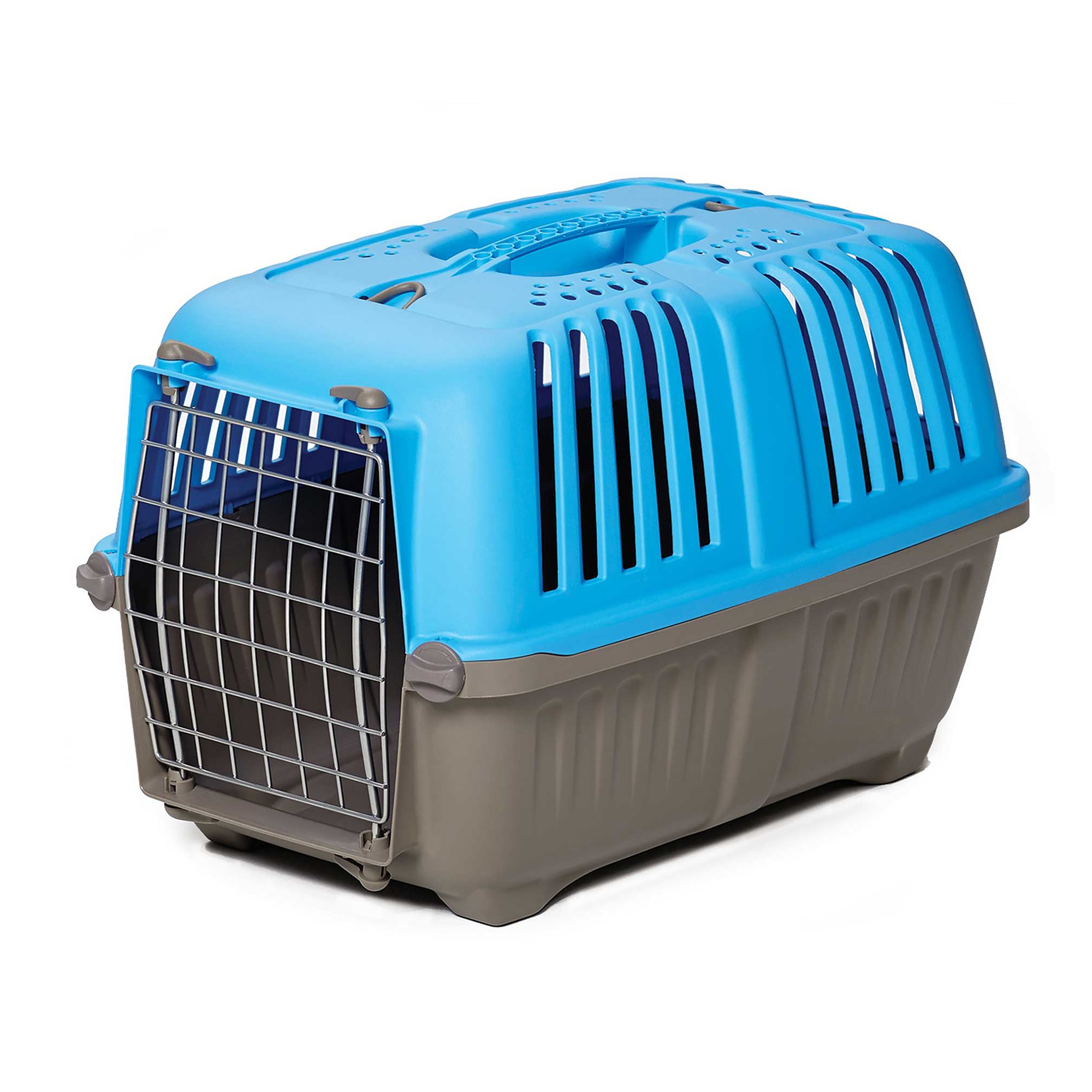 Spree Plastic Carrier, Blue | Petco