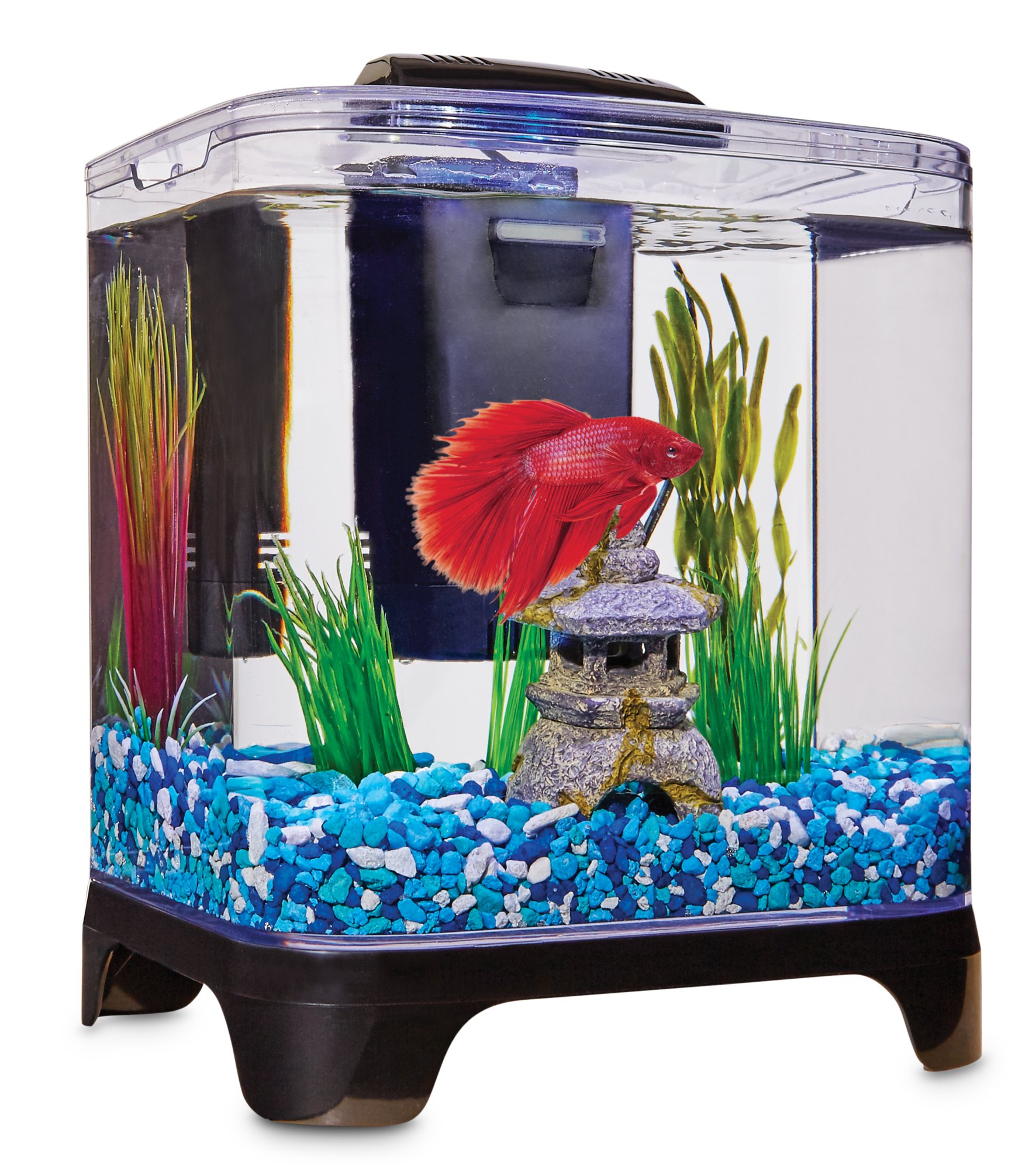 Fish Tank: Fish Aquariums, Kits & Stands | Petco