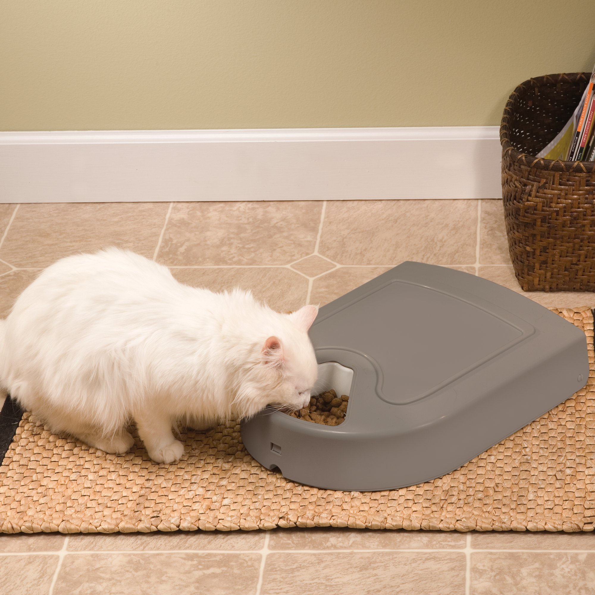 Petsafe 5 Meal Pet Feeder Petco