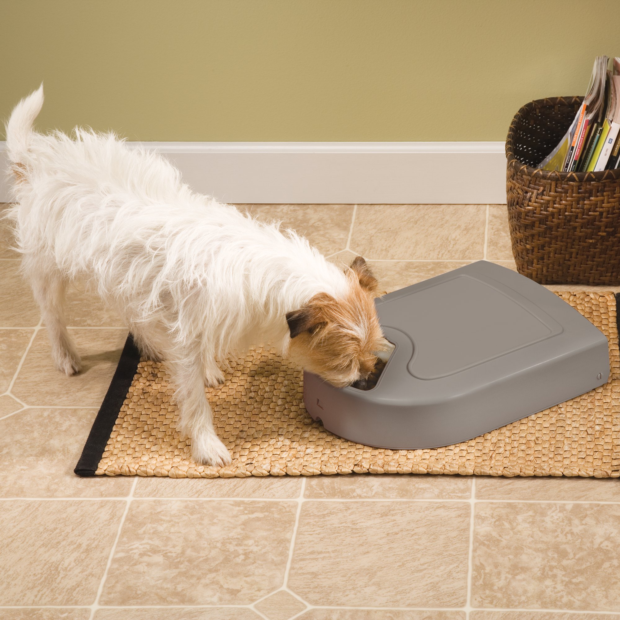 Petsafe 5 Meal Pet Feeder Petco