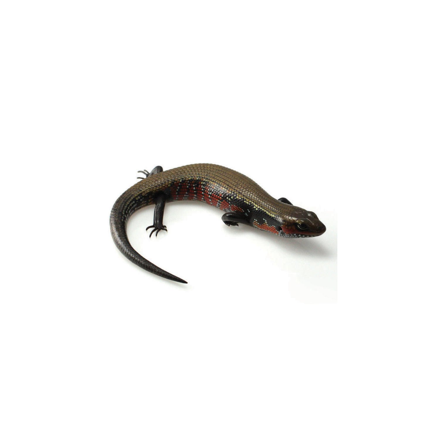 Live Reptiles for Sale | Buy Reptiles Online | Petco