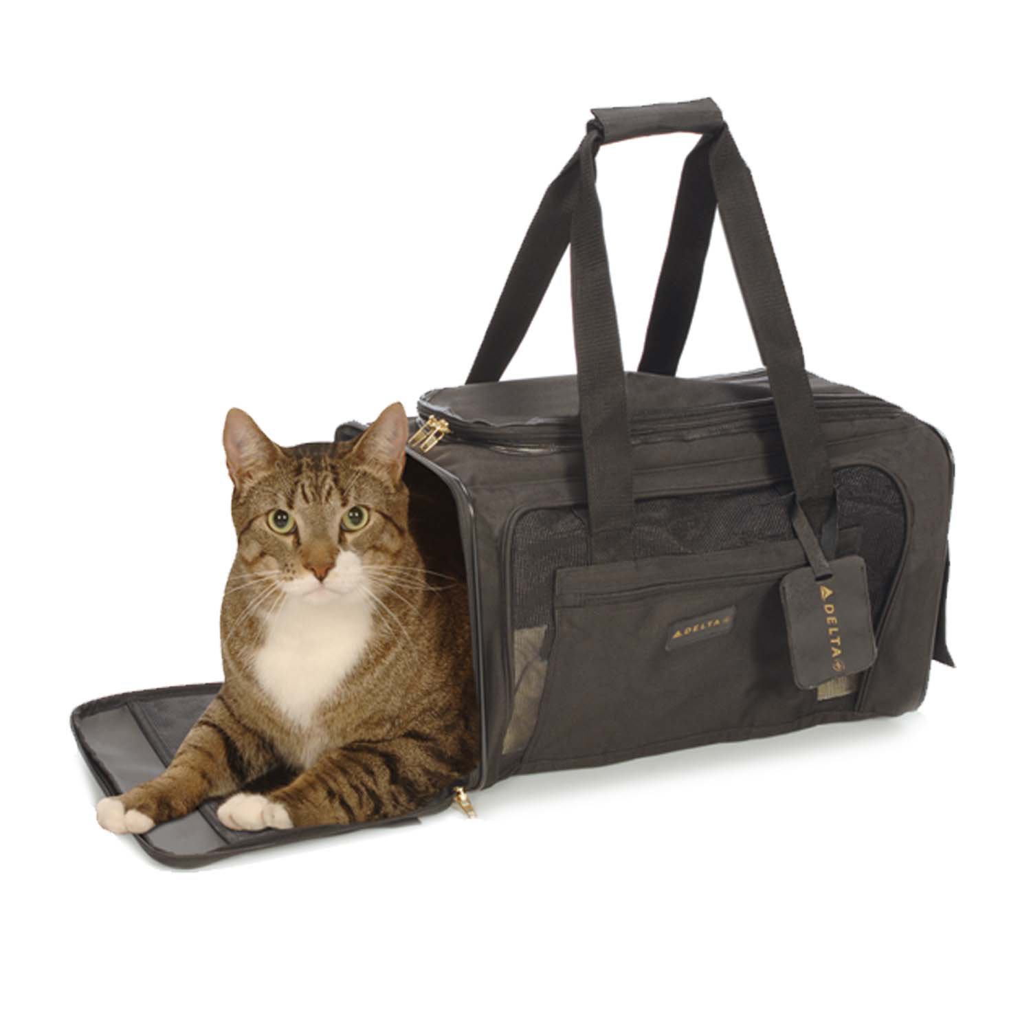 https://s7d1.scene7.com/is/image/PETCO/715344-right-1?$Zoom$