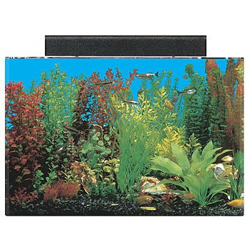 20 gallon high aquarium petco