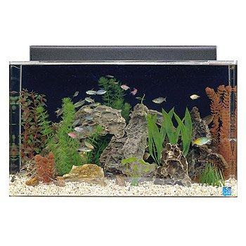 29 gallon aquarium petco
