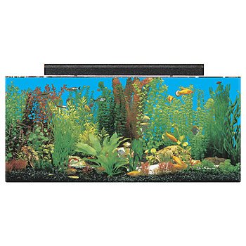 petco acrylic aquarium