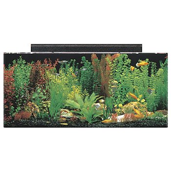 petco acrylic aquarium