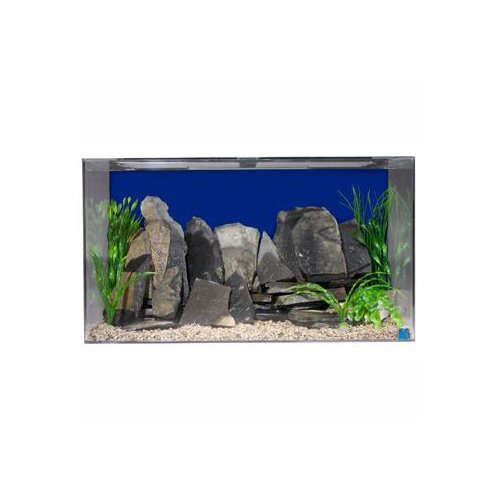 petco acrylic aquarium