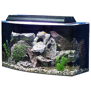 Seaclear 36 Gallon Bowfront Aquarium Combo Clear Petco