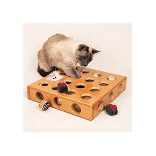 petco interactive cat toys