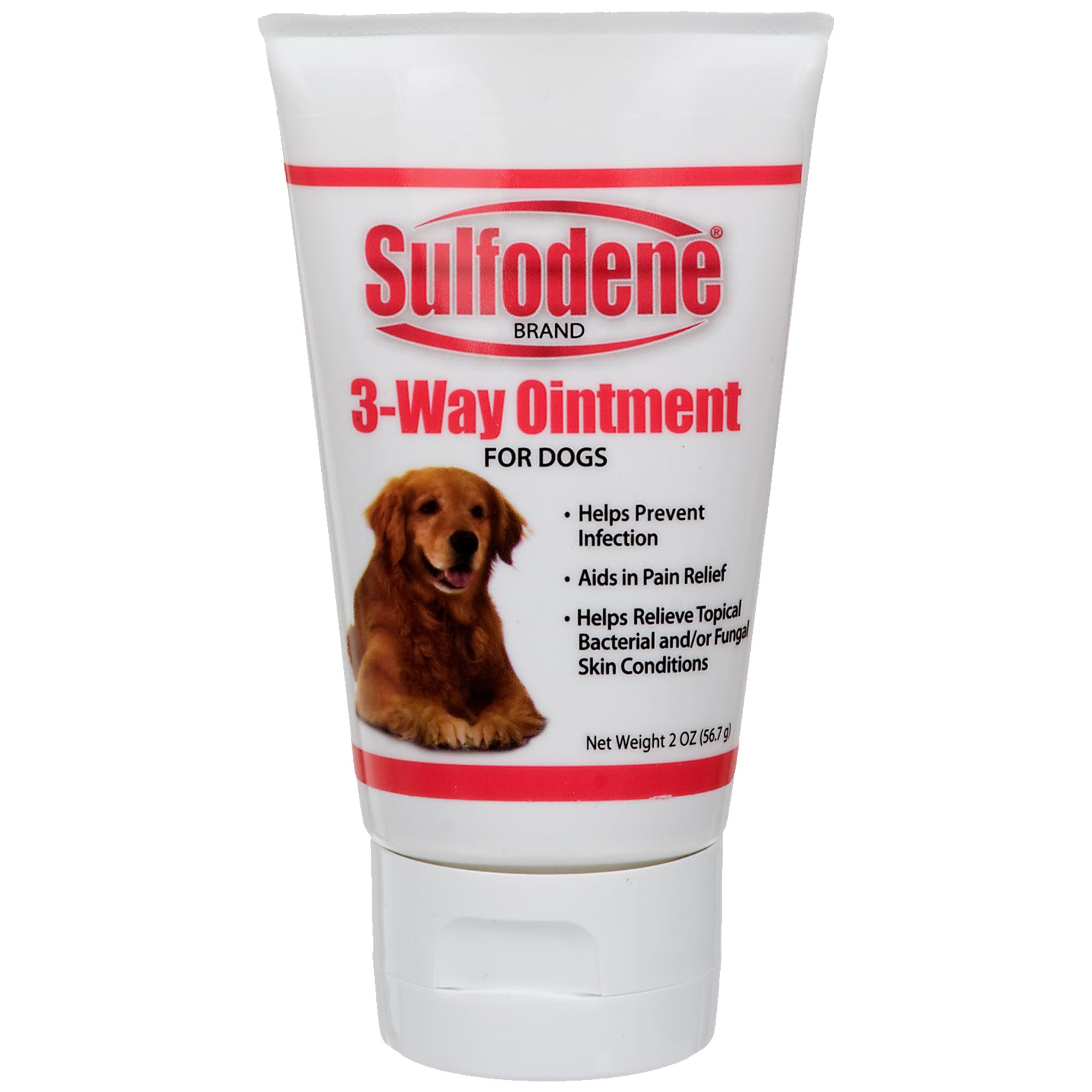 mange shampoo for dogs petsmart