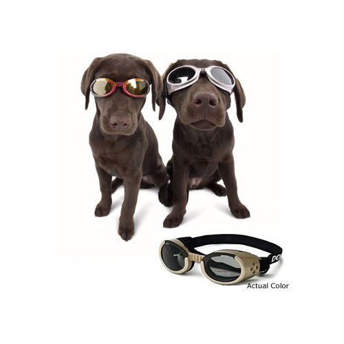 Doggles Protective Eyewear for Dogs Petco