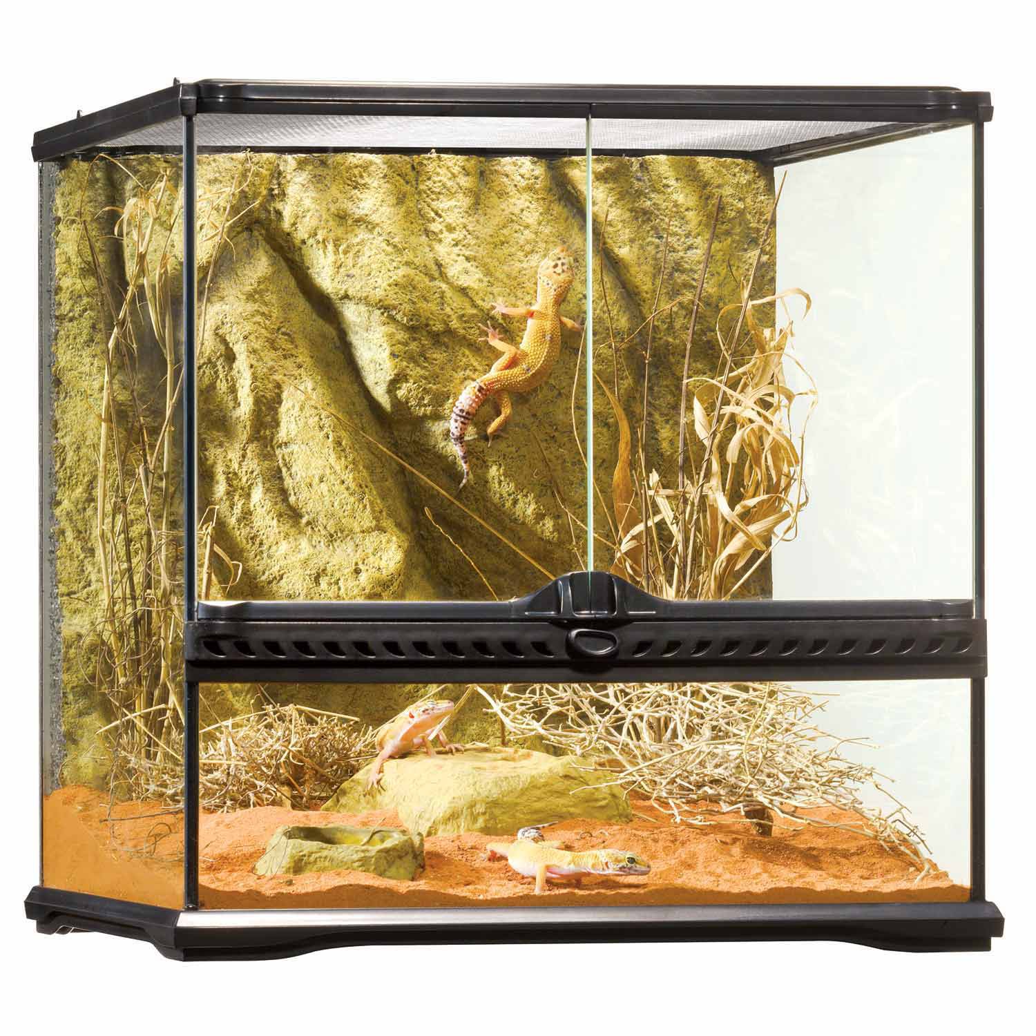 petco terrarium sale