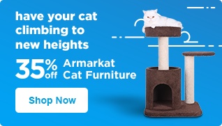 Cat Furniture: Cat Trees, Towers & Scratching Posts | Petco