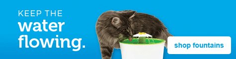 Cat: Cat Food, Litter Boxes And Accessories | Petco