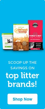 world's best cat litter petco