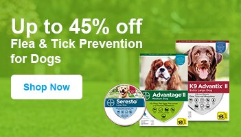 up to 45% off flea & tick prevention for dogs - shop now