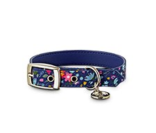 Dog Collars, Harnesses &amp; Leashes For All Sizes | Petco