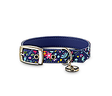 Dog Collars, Harnesses &amp; Leashes For All Sizes | Petco