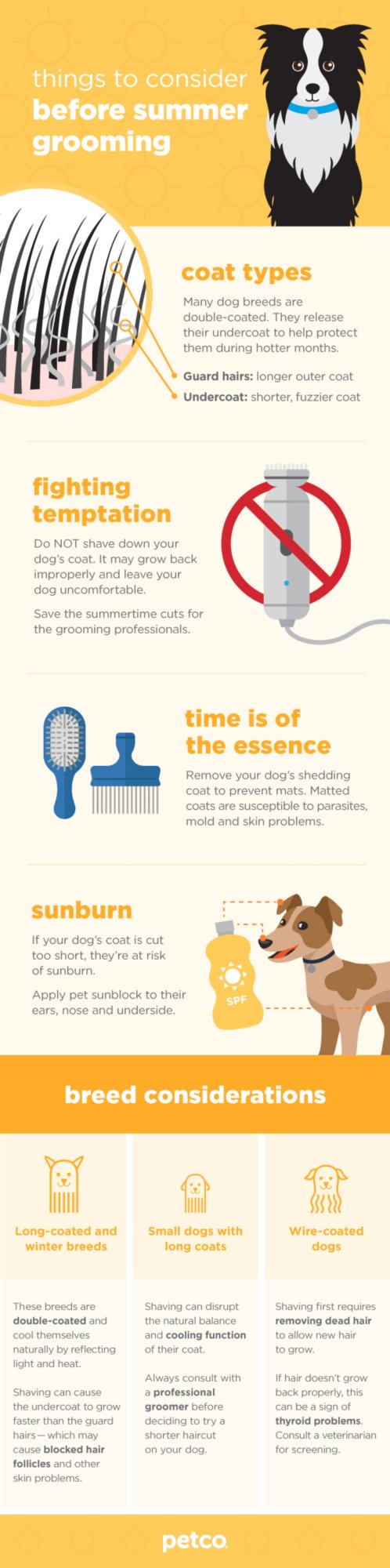 Things To Consider Before Summer Grooming Types Of Coats Breeds