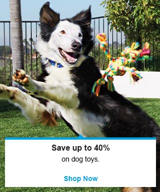 Save up to 40% on dog toys - Shop Now