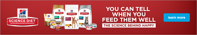 Wet Kitten Science Diet