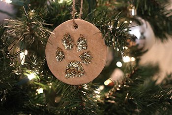 Diy Salt Dough Paw Print Ornaments For Cats Dogs Petco