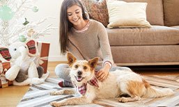 Pet Insurance Quotes